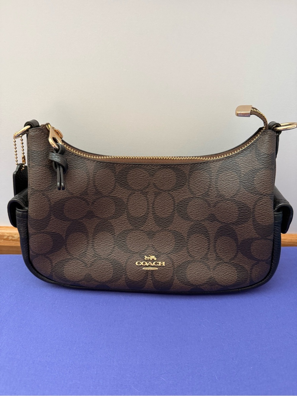 Coach Pennie Signature Canvas Crossbody Bag C7223